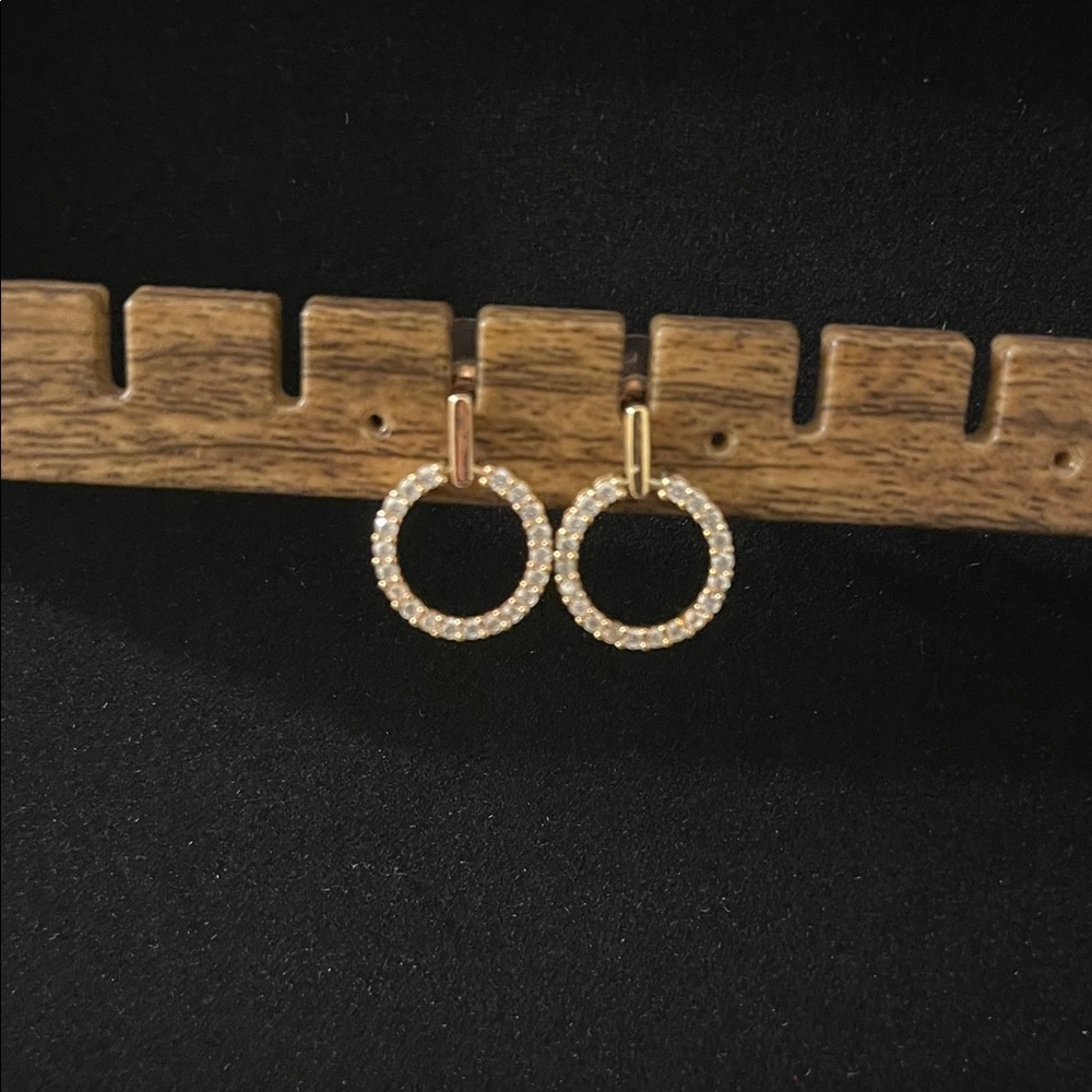 Round Gold Shining Stone Earring